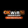 okwintvapp profile image