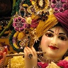 AAKASH MAURYA profile image