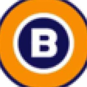 BitRecover Software profile image