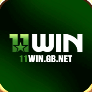 11 Win profile image