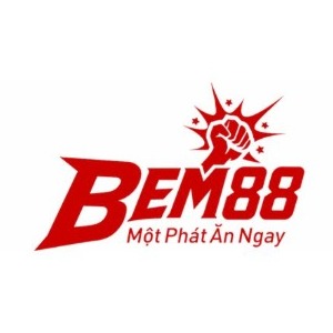 BEM88 profile image