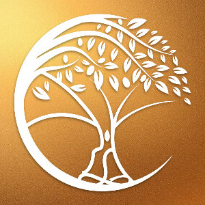 ONE SOUL WELLNESS LLP profile image