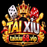 V79 profile image