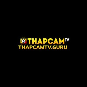 ThapcamTV profile image