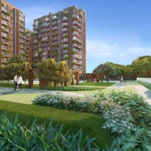 Century Mirai profile image