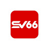 SV66 profile image