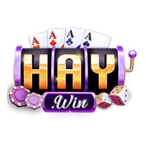 HAYWIN Info profile image