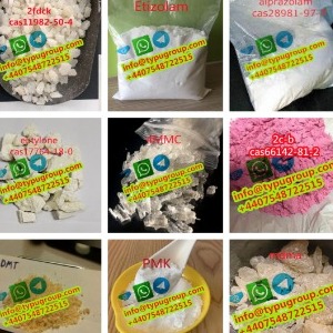 anna wang profile image