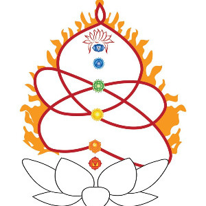 Yoga Vini profile image