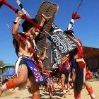 Navigers.com profile image