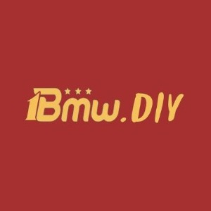 1bmw profile image