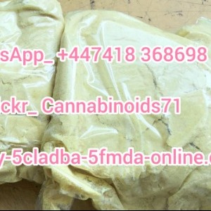 Felicitas profile image