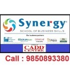 Synergy School of Business Skills (Pune-Satara Road) profile image