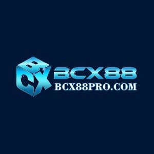 BCX88 profile image