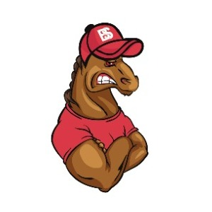 Belgian Sport profile image