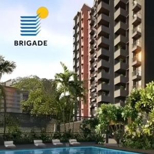 Brigade avalon profile image