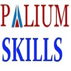 Palium Skills profile image