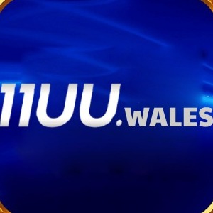 11uuwales profile image