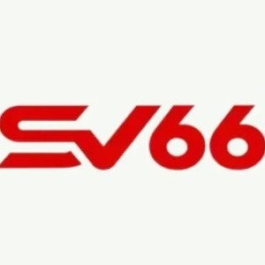 SV66 profile image