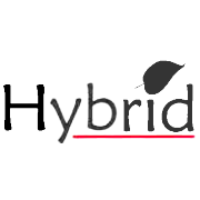 Hybrid Financial Services Ltd