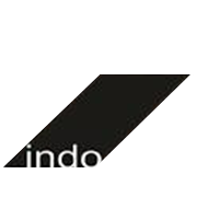 Indo Amines Ltd