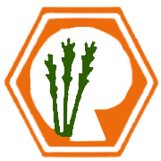 Rana Sugars Ltd
