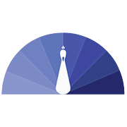 Reliance Chemotex Industries Ltd