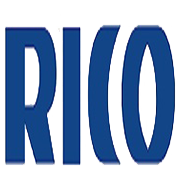 Rico Auto Industries Ltd