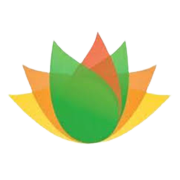 Vishnu Chemicals Ltd