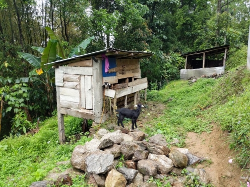 Lizahill Villa Homestay