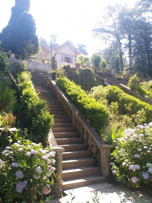 Woodville Palace Hotel Shimla