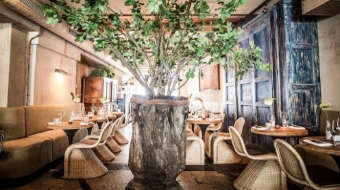 Ashoka Restaurant Amsterdam Centrum