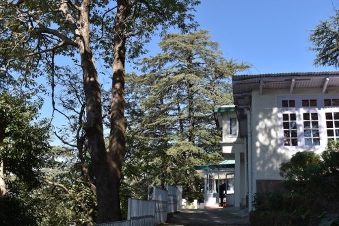 Glen View Heritage Homestay Shimla