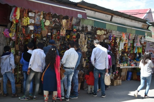 Lakkar Bazar Market IGMC Road