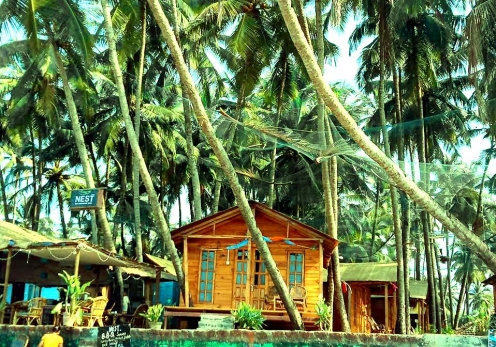 The Nest Palolem