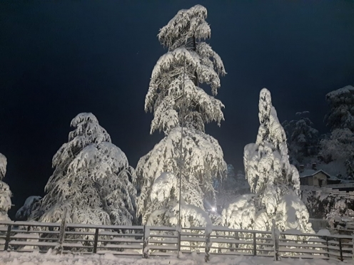 Royal Retreat Luxury Hotel in Shimla