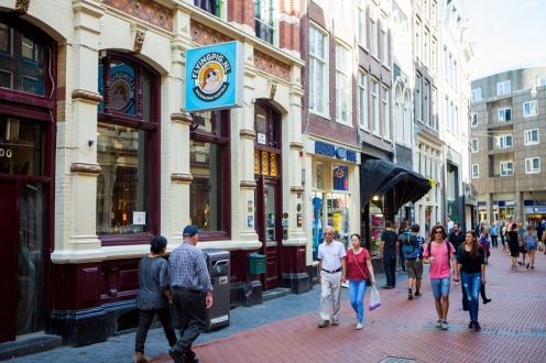 The Flying Pig Downtown Hostel