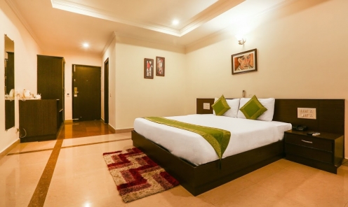 Treebo Trend GK Conifer