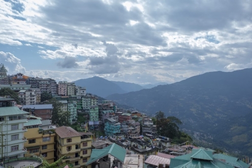 Himalayan Hungry Jack