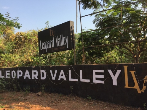 Leopard Valley