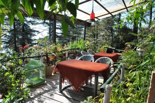 Mcleodganj Bed & Breakfast Dharamkot