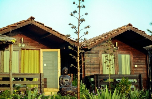 Lotus Sutra Harmal Beach