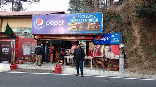 The Café Kufri Terriers