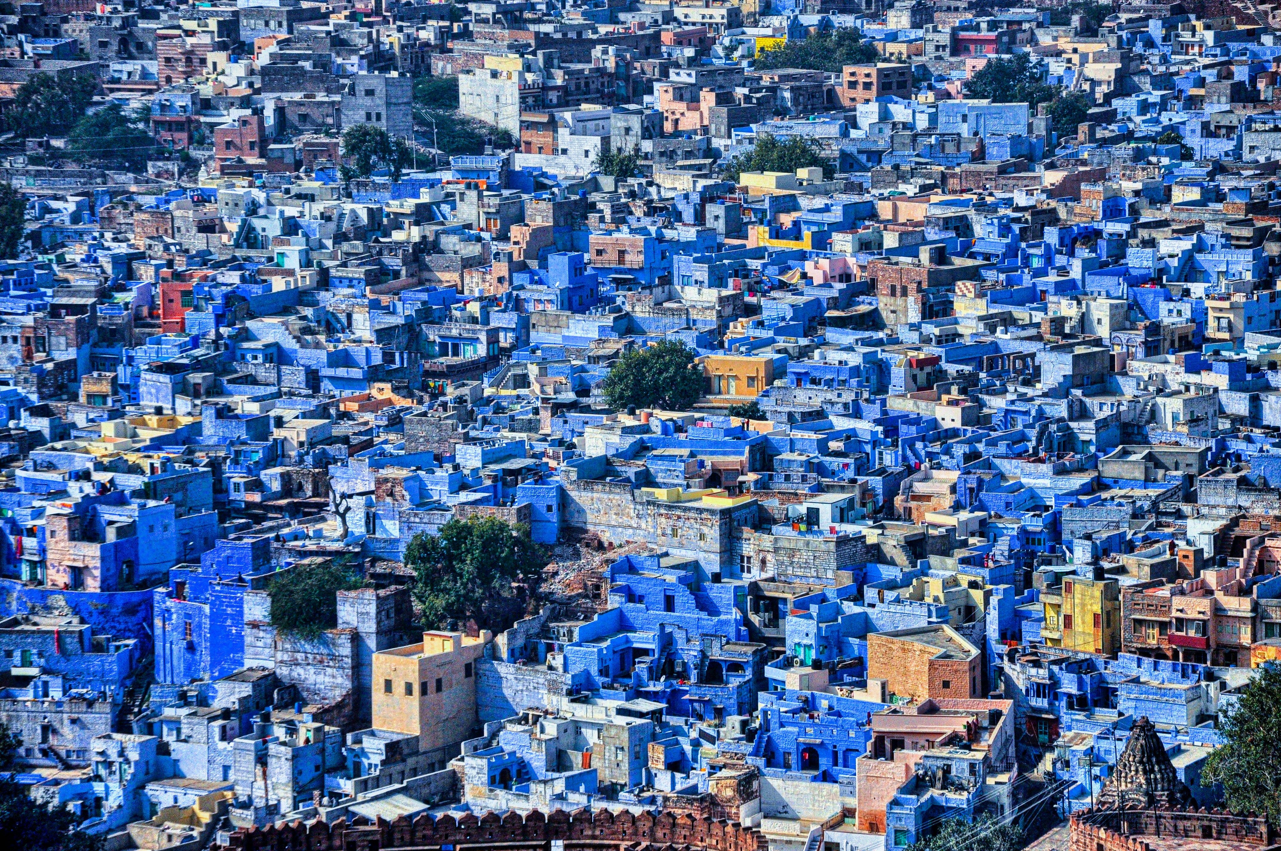 abhinav-tripathi-3FeeAbwIO2o-unsplash.jpg
