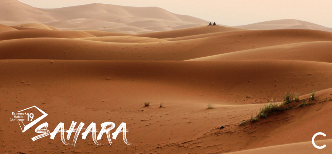 Team212019 02 26T07 23 000003