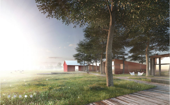 Team212019 02 26T11 52 000002