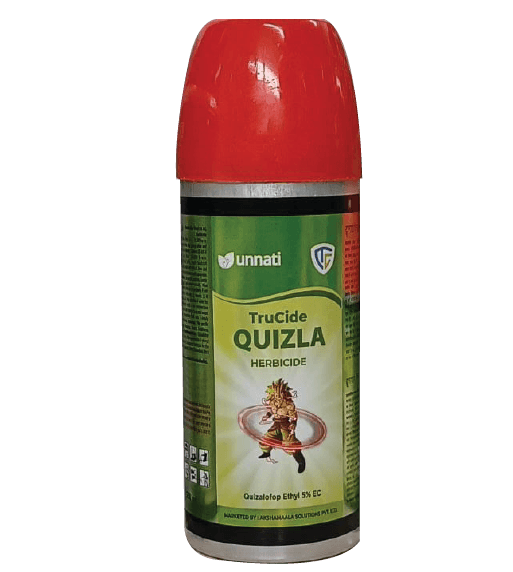 TRUCIDE QUIZLA