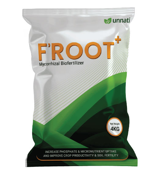 FROOT