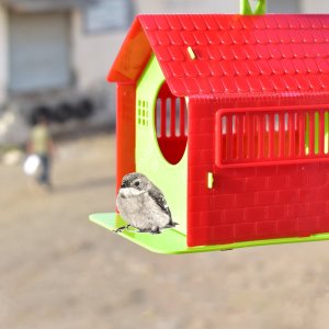 SMALL BIRD HOUSE FOR BIRDS