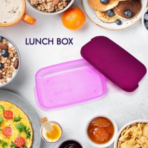 FOODGRADE PLASTIC LUNCH BOX  UNBREAKABLE BPAFREE WITH 2 CONTAINERS AND SPOON LEAKPROOF